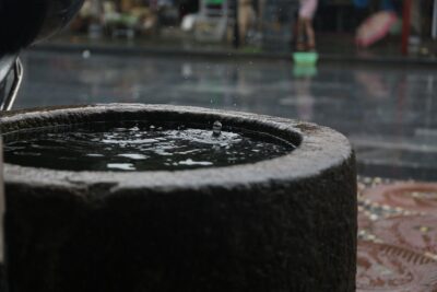 Zbiornik wody deszczowej – ozdoba czy szpetota ogrodu